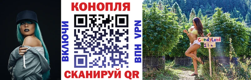 МАРИХУАНА план  Купить закладки  Химки 